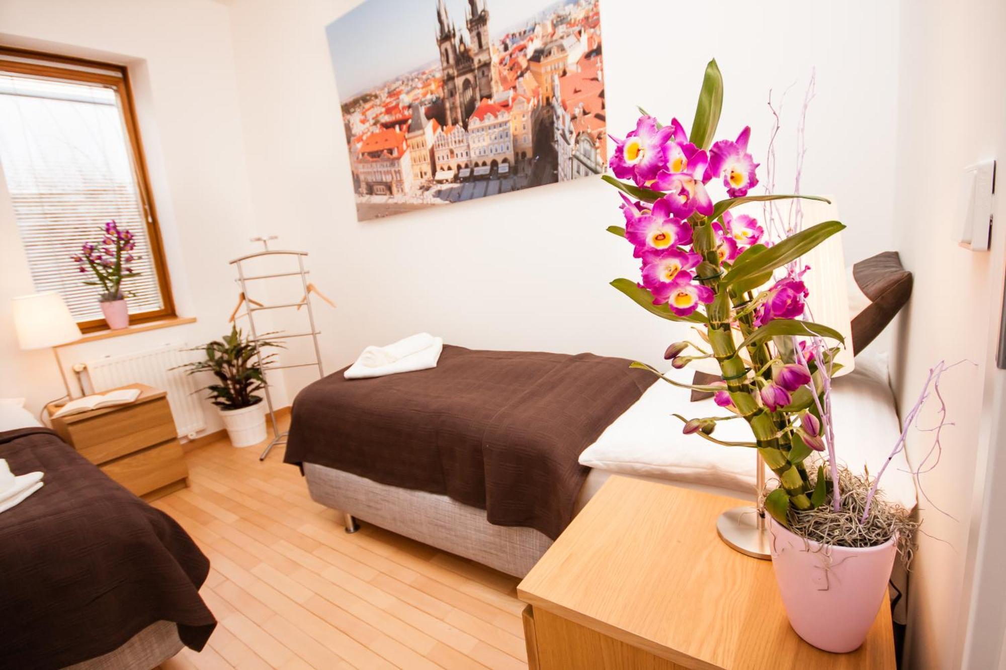 Wenceslas Square Lofts Prague Phòng bức ảnh
